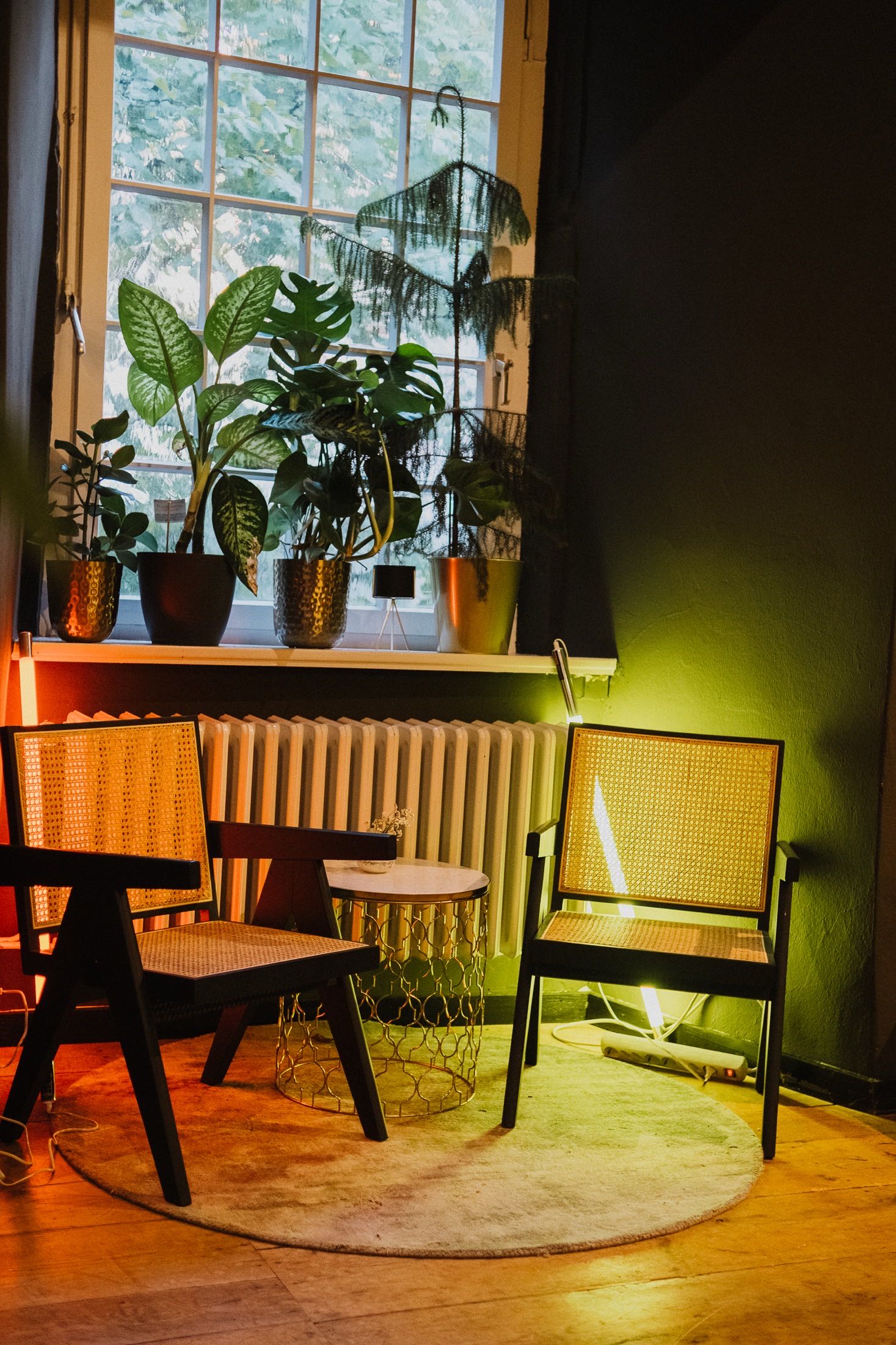 Fensterplatz — Pflanzen und Licht